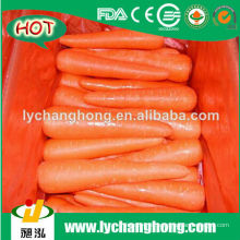 2014 Zanahoria fresca para la venta caliente